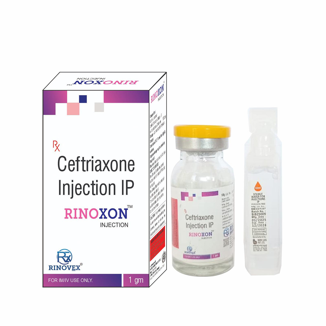 Untitled design - 2025-09-29T105210.543